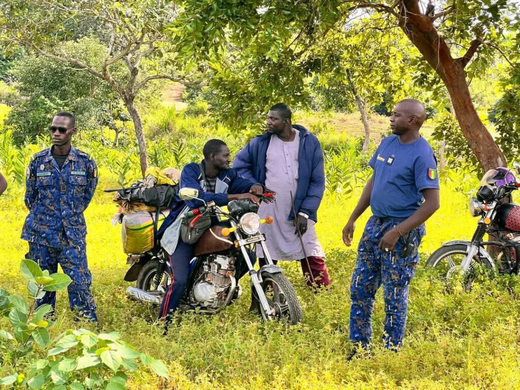 Immagine-WhatsApp-2025-06-23-ore-10.00.47_4e17b840-1024x768 Beyla/Élevage : Opération de conduite de 1 500 bœufs vers la frontière dans le cadre de l’interdiction de la transhumance